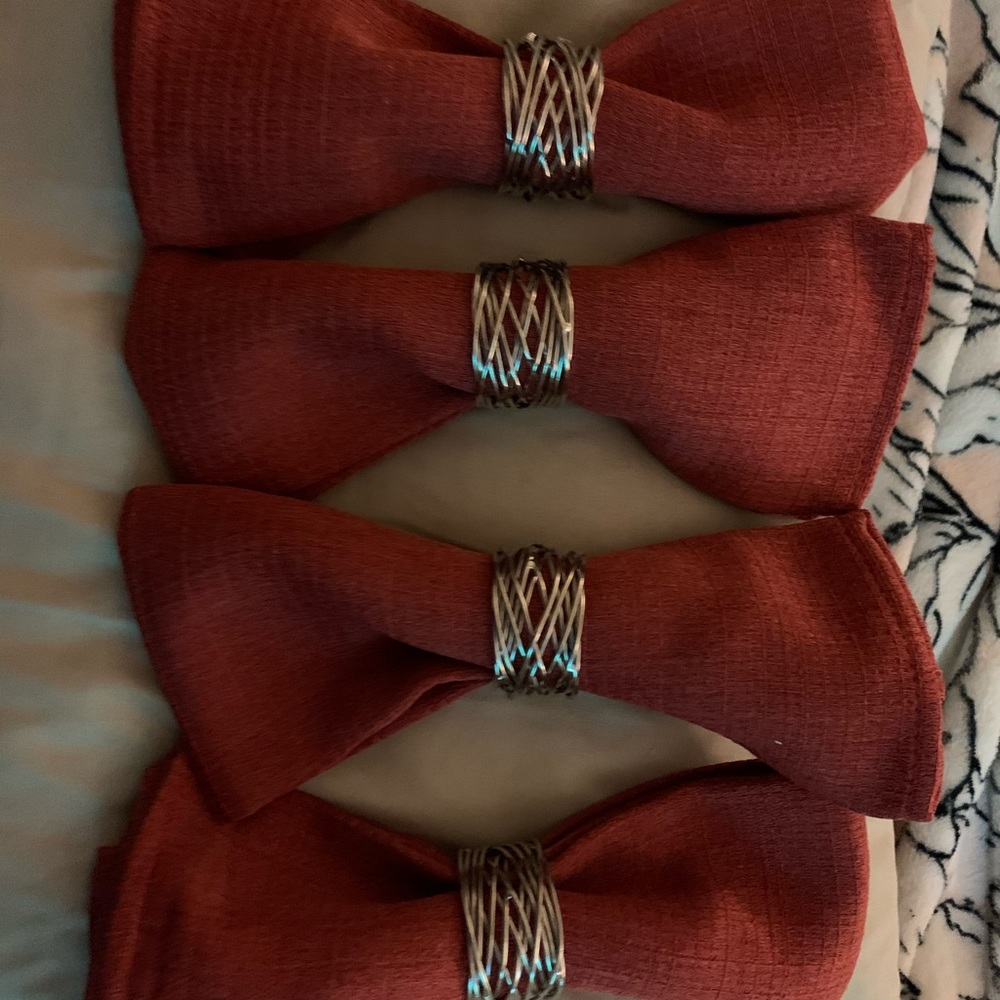 Set of 4 Burnt Red Cloth Napkins (Napkin Rings Not Included)